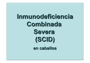 Inmunodeficiencia Combinada Severa (SCID)