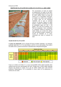 Boletín nº 12. Diseño de plantación de sandía en cultivo al aire libre
