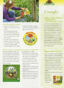 MyccoVitaf beneficia sus plantas - La planta absorbe mejor los nu