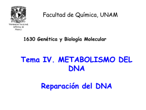 Presentación de PowerPoint - Genética y Biología Molecular