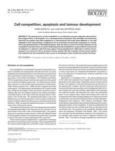 Cell competition, apoptosis and tumour development