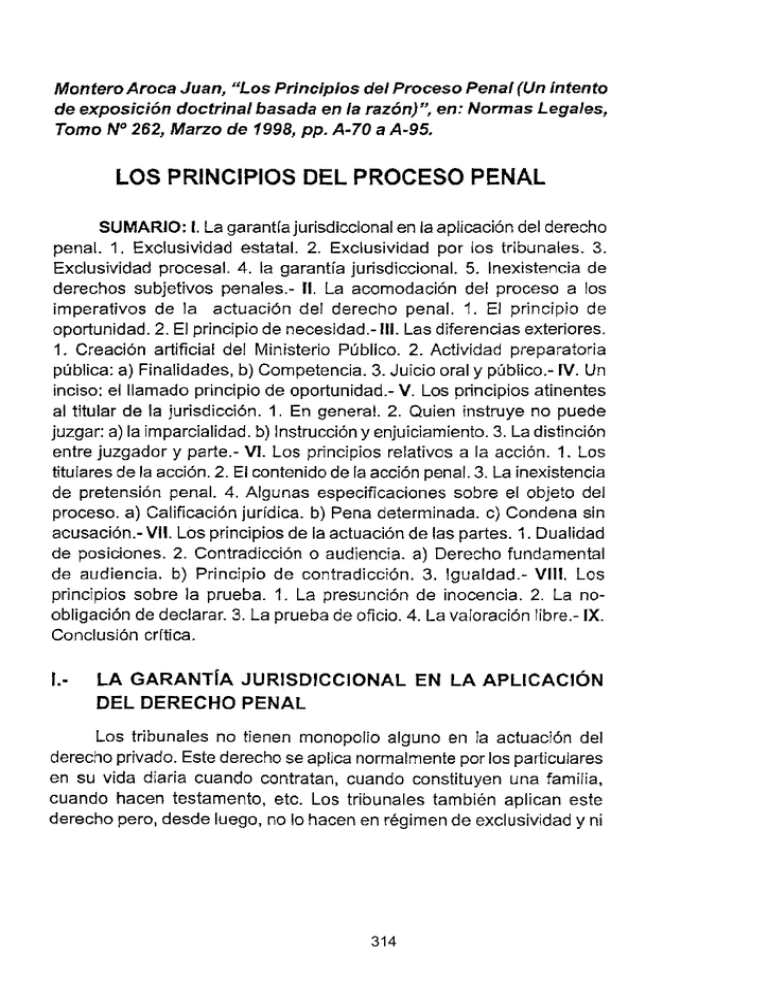 Los Principios Del Proceso Penal 2135