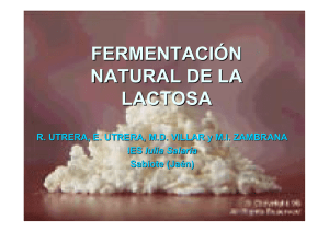 fermentación natural de la lactosa