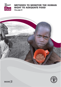 methods to monitor the human right to adequate food