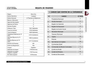 NEJAPA DE MADERO 3 - Instituto Estatal Electoral de Oaxaca