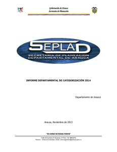 Informe Dtal de Categorización 2014