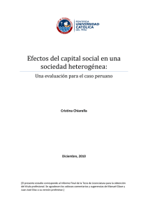 Efectos del capital social en una sociedad heterogénea: