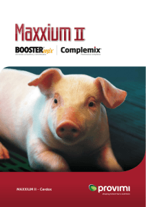 Maxxium II - Cerdos