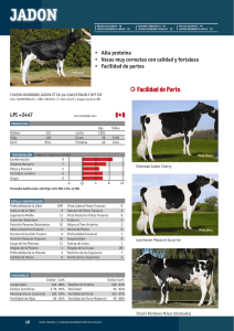 • Alta proteina • Vacas muy correctas con calidad y fortaleza