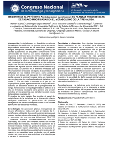 RESISTENCIA AL PATÓGENO Pectobacterium carotovorum EN