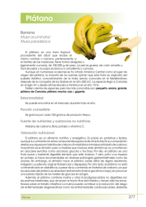 Plátano - FEN. Fundación Española de la Nutrición