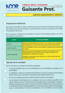 Labores preparatorias y siembra