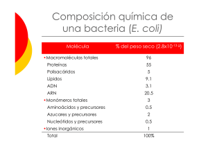 Composición química de una bacteria (E. coli)