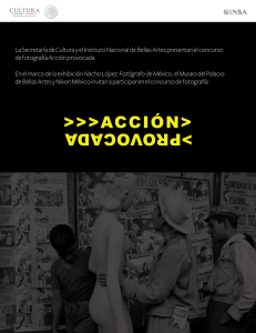 Acción provocada - Museo del Palacio de Bellas Artes