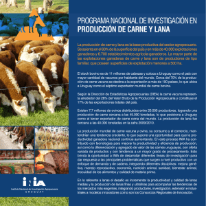 programa nacional de investigación en producción de carne y lana