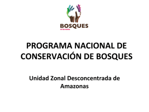 programa nacional de conservación de bosques