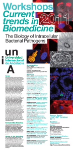 Poster Intracellular Bacterial Pathogens