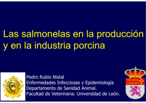 Diapositiva 1 - AVPA Asociación de Veterinarios de Porcino de