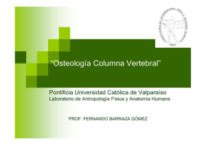 Osteología Columna Vertebral - Pontificia Universidad Católica de