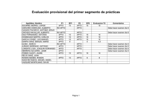 Evaluación provisional del primer segmento de prácticas