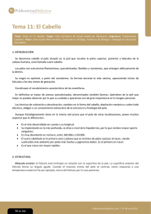 Tema 11: El Cabello - PublicacionesDidácticas