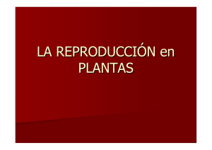 Reproducción plantas