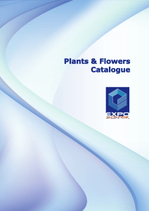 Plants and Flowers catalogue