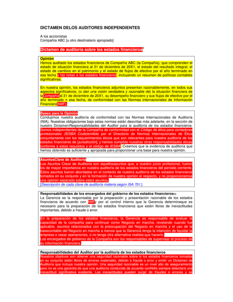 Dictamen De Los Auditores Independientes
