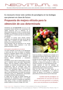 Propuesta de mejora vitícola para la obtención de uva determinada
