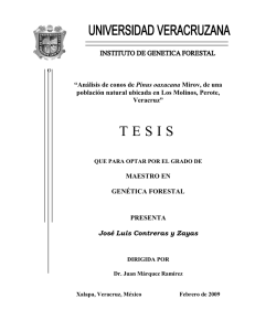 Contreras y Zayas, J. L. 2009. Análisis de conos de Pinus oaxacana