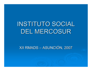 instituto social del mercosur