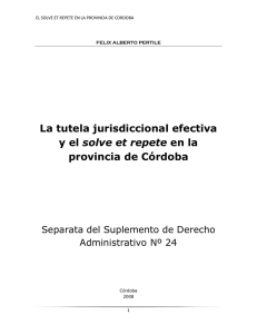 La tutela jurisdiccional efectiva y el solve et repete en la provincia