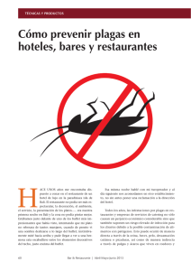 Cómo prevenir plagas en hoteles, bares y restaurantes