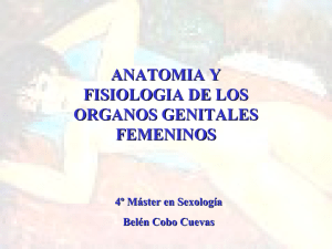 anatomia y fisiologia de los organos genitales femeninos