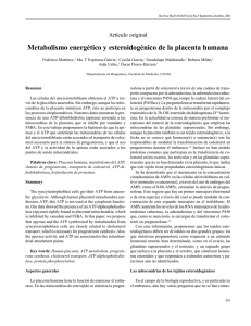 Metabolismo energético y esteroidogénico de la placenta humana