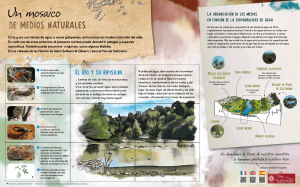 Un mosaico de medios naturales - Office de tourisme de Saint