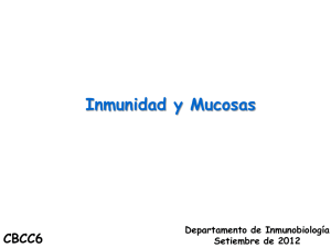 Secreciones mucosas producidas por el epitelio.