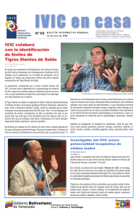 IVIC colaboró con la identificación de fósiles de Tigres Dientes de