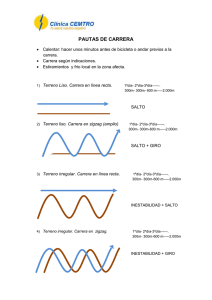 PAUTAS DE CARRERA