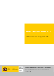 Retrato de la PYME 2012 - Dirección General de Industria y de la