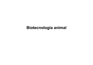 ¿Cual es el objetivo de realizar Biotecnología animal?