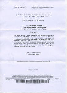 carne de cualificacion individual en alta tensión, categoria lat2