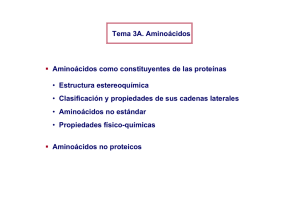 Tema 3a- aminoacidos farmacia
