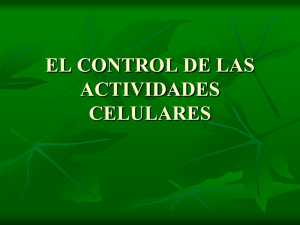 el control de las actividades celulares