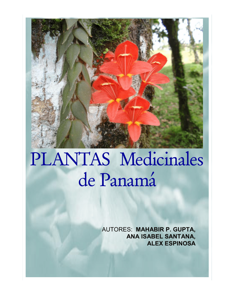 Plantas Medicinales De Panama Organization Of American States