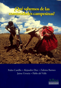 Qué sabemos de las comunidades campesinas (2007)