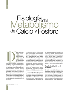 Fisiología Metabolismo del de Calcio y Fósforo
