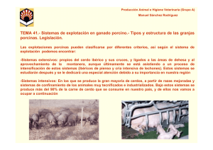 Sistemas de explotación en ganado porcino.