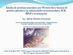 Diapositiva 1 - Sociedad Española de Anatomía Patológica