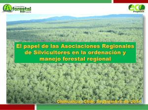 unidades industriales de explotación forestal objeto